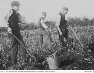 Irish farm workers from NLI